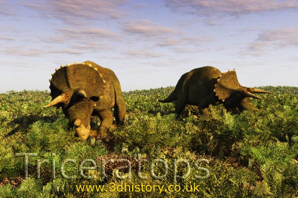 http://3dhistory.co.uk/fact-sheet/images/002-Triceratops-01.jpg