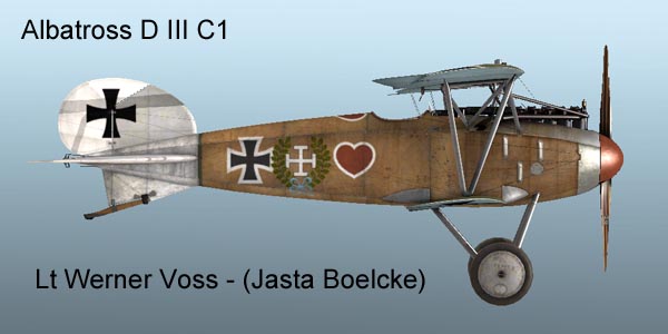 Werneth Voss's Albatros D III C1 whilst he was serving with Jasta Boelcke