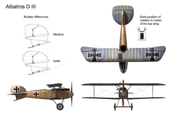 The Albatros D III was produced by a number of companies, with slight differences.