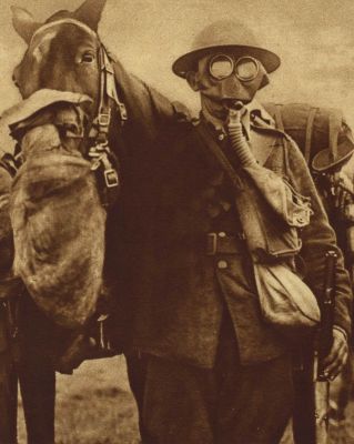 By the end of World War One specialised masks had been developed to protect against gas attack, even some for animals.